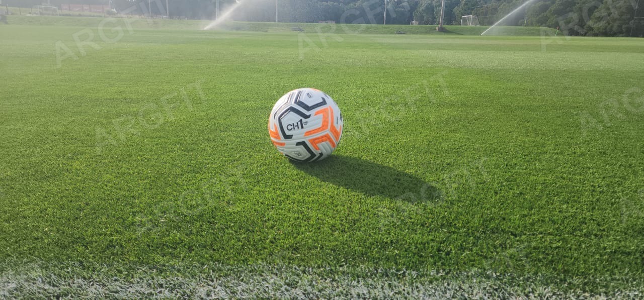 Pelota Futbol Polaris N5 Profesional   - 3