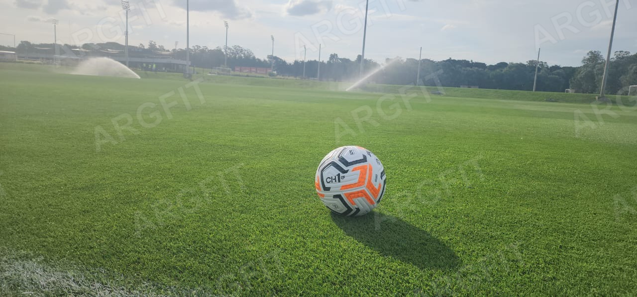 Pelota Futbol Polaris N5 Profesional   - 4