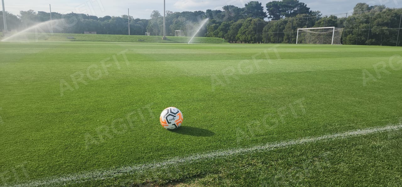 Pelota Futbol Polaris N5 Profesional   - 5